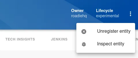 Entity Page kebab menu opened